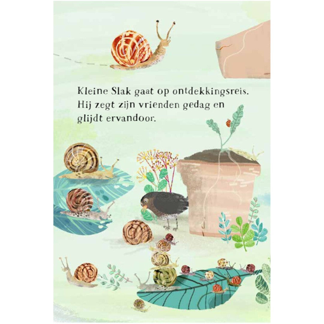 Kartonboek het beestjesboek van kleine slak