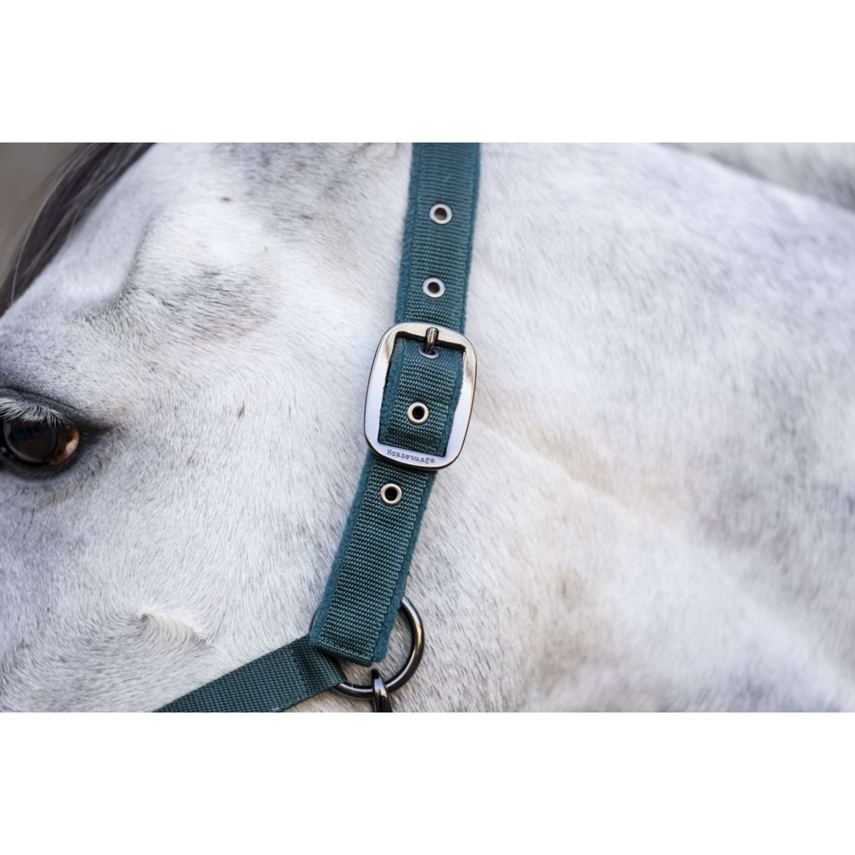 Amigo Halster & Touw Dynasty Green