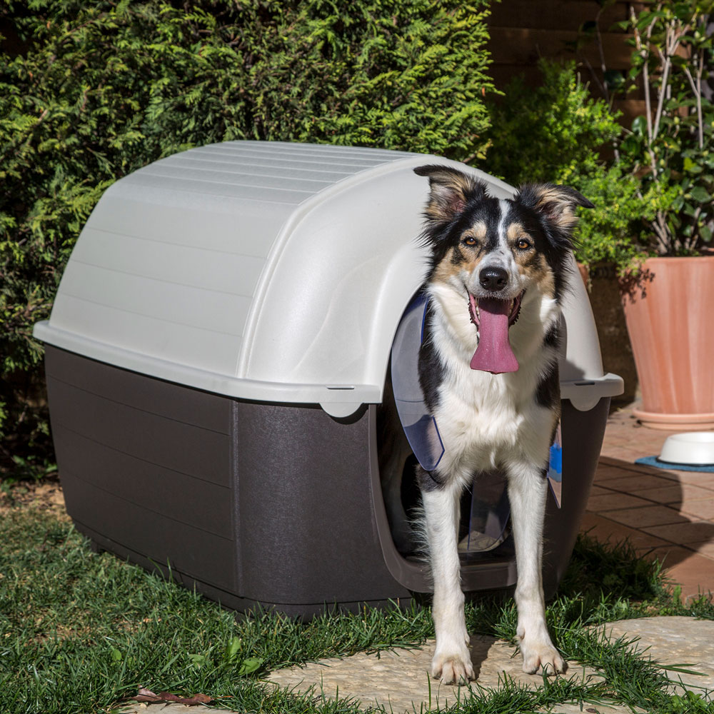 Porte en plastique pour niche chien chiens ferplast kenny door