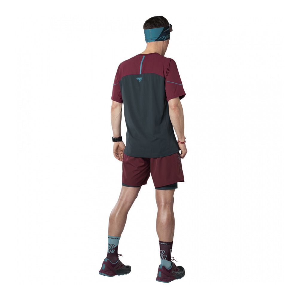 Dynafit ALPINE PRO - Maillot Homme blueberry burgundy