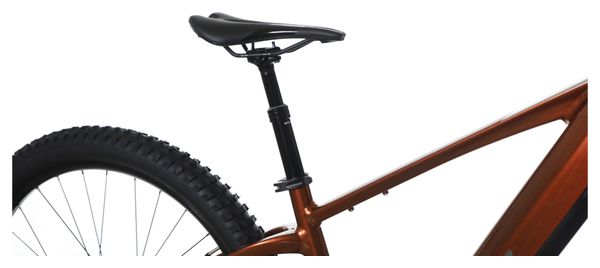 Vélo d'Exposition - VTT Électrique Semi-Rigide Sunn Rage 630 29' Shimano Deore 12V 625Wh Brown 2023