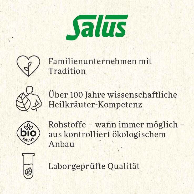 Winter-Trolle Wintertee Gewürztee Bio Salus Fbeutel , 15 St