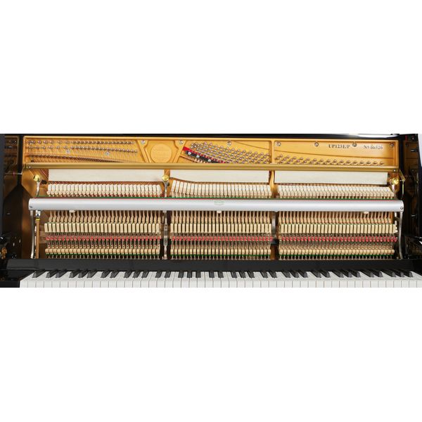 Thomann UP 123 E/P Piano