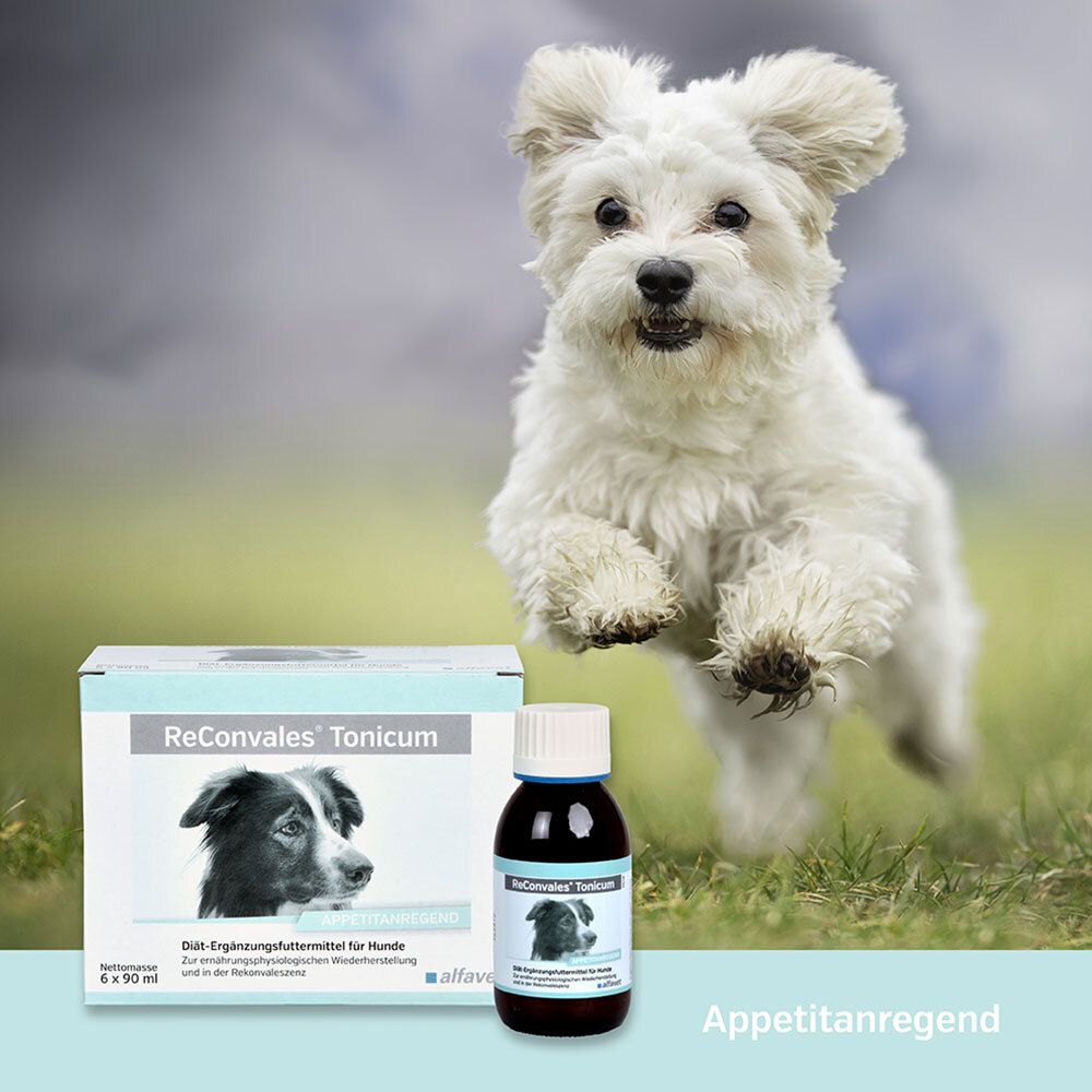 ReConvales® Tonicum für Hunde