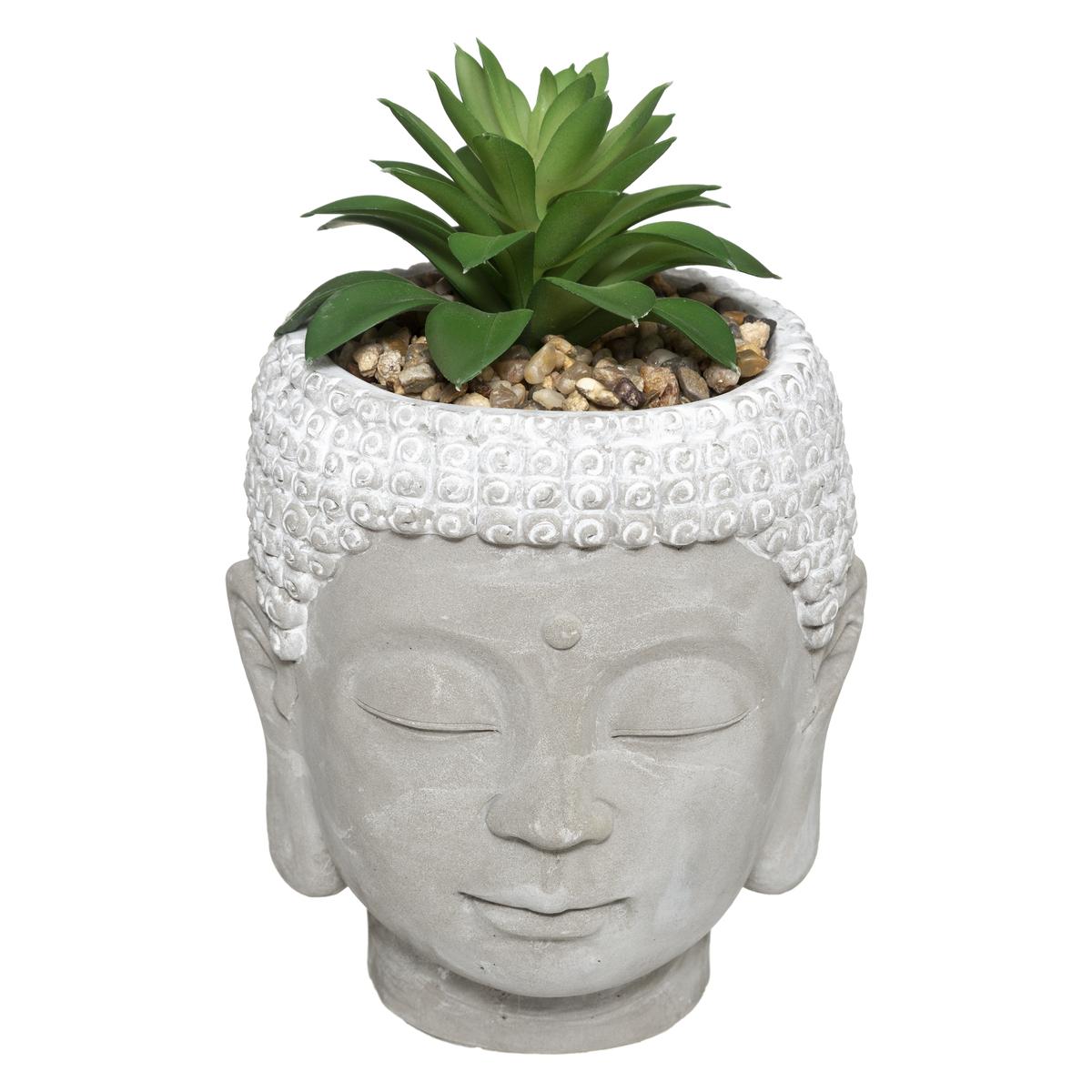 PLANTE GRASSE BOUDDHA CIMENT VIA H.13CM