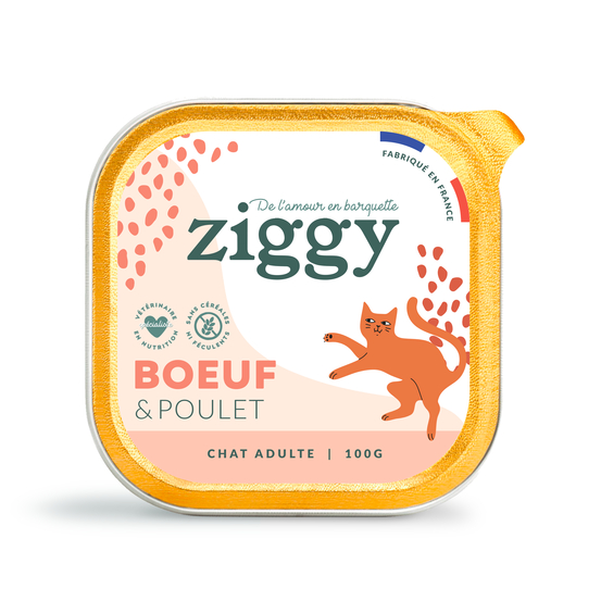 Pâtée pour chat bœuf 100g