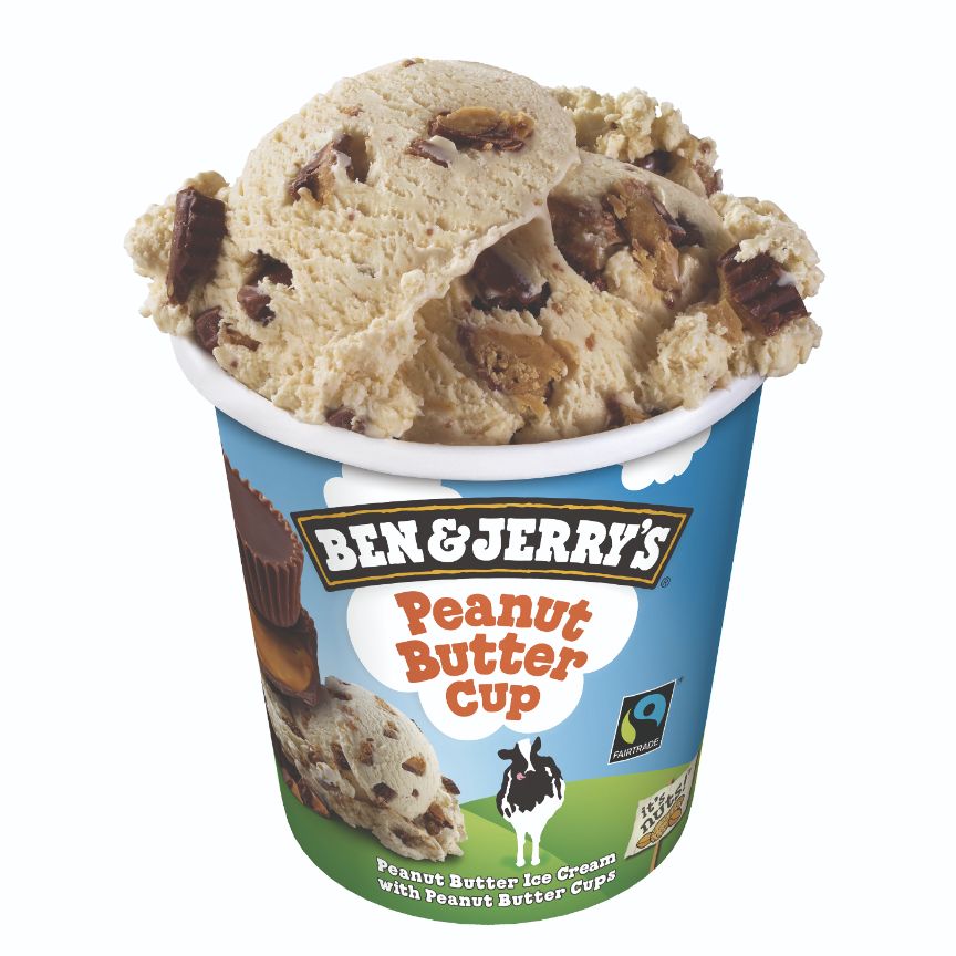 GELADO B&J PEANUT BUTTER CUP 465ML