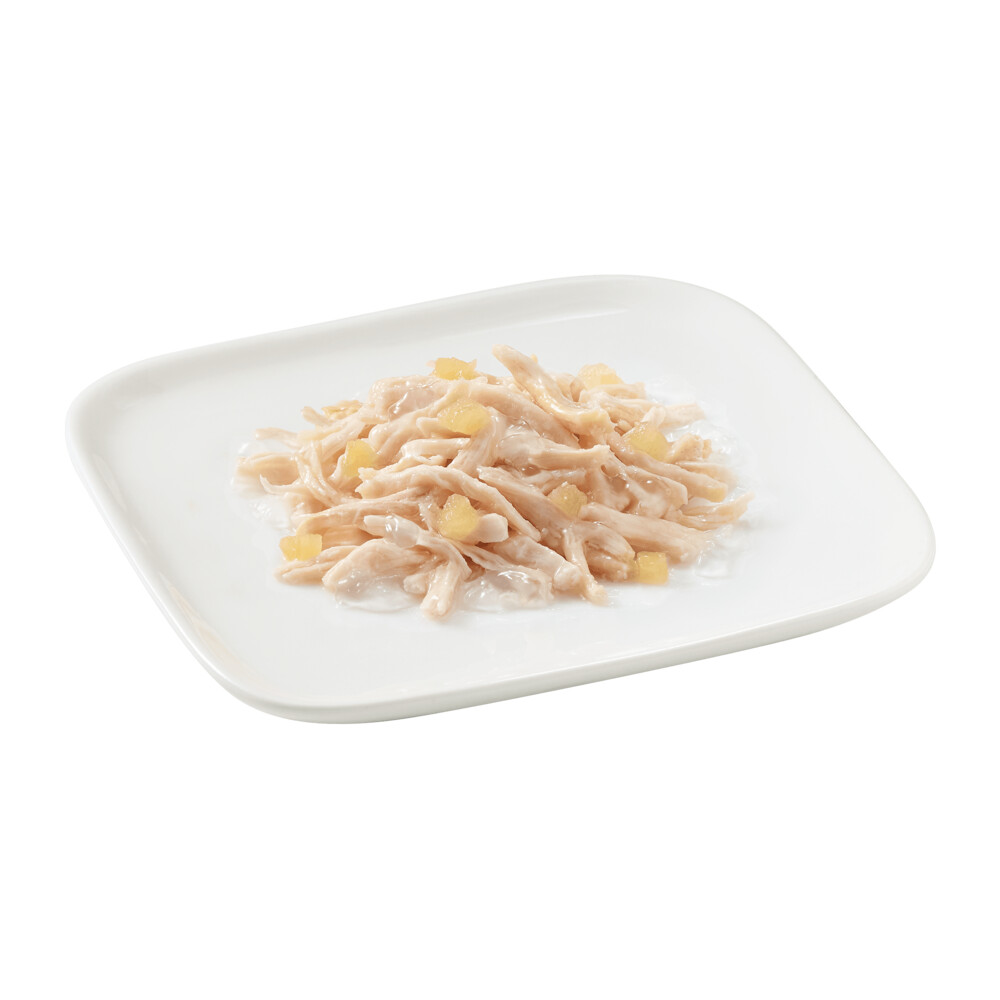 10x Schesir Hondenvoer Kip - Appel150 gr