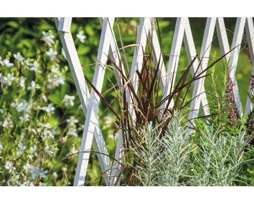 Verhoogd tuinbed op palen met trellis, mobiel, 79 x 28,5 x 130 cm, wit geglazuurd