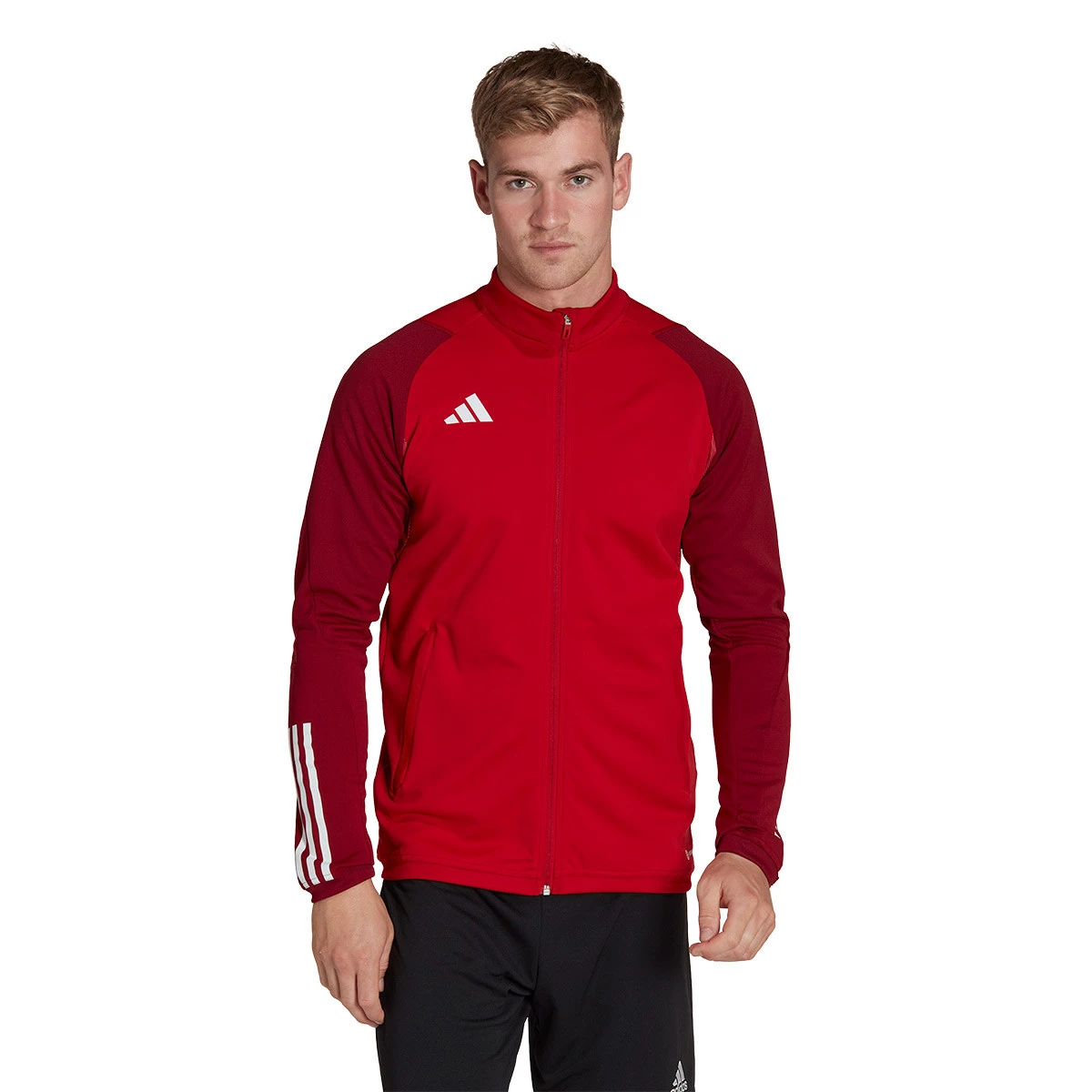 Casaco adidas Tiro 23 Competition Training