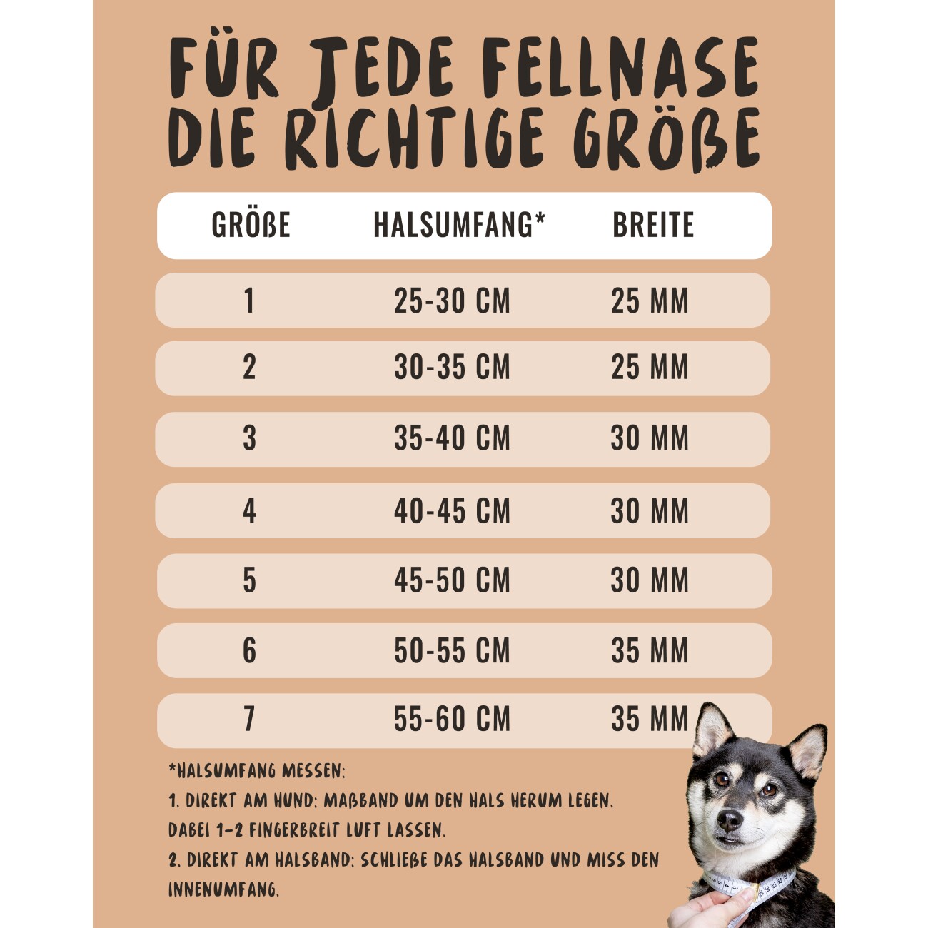 Rudelkönig Hundehalsband - Gepolstertes Halsband Paola schwarz 25 cm, 30 cm