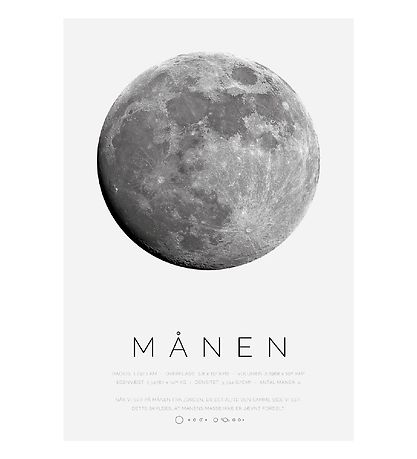 Citatplakat Plakat - B2 - M?nen