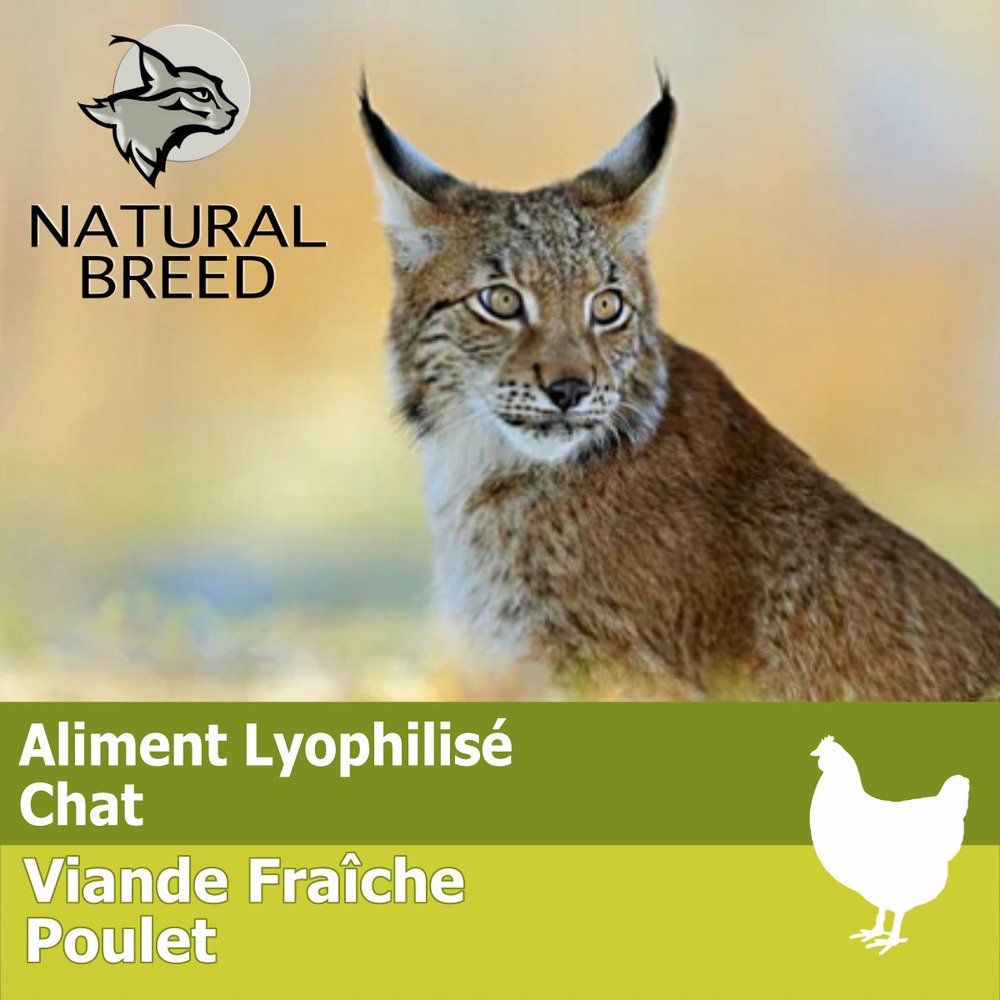 Wild lyophilisé perfect cat - lyophilisé chat, poulet frais sans céréales, 750g