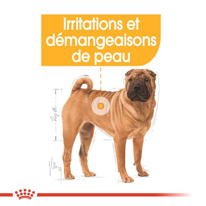 Royal Canin Medium Dermacomfort à prix discount sur bitiba.fr