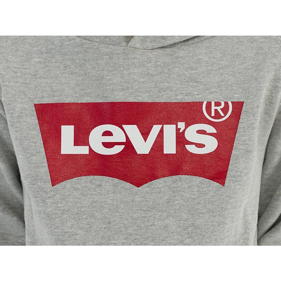 Levi's® Kids Boys Kapuzenpullover hellgrau