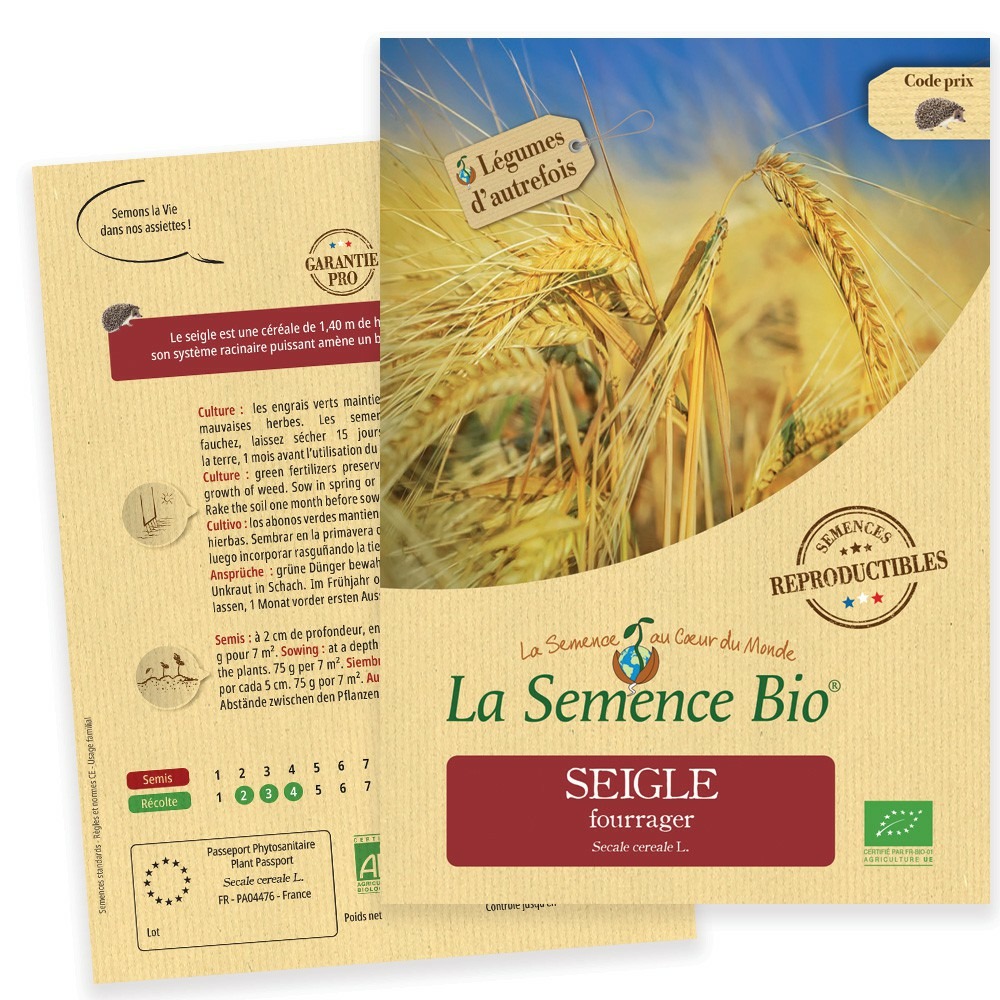 Seigle fourrager bio