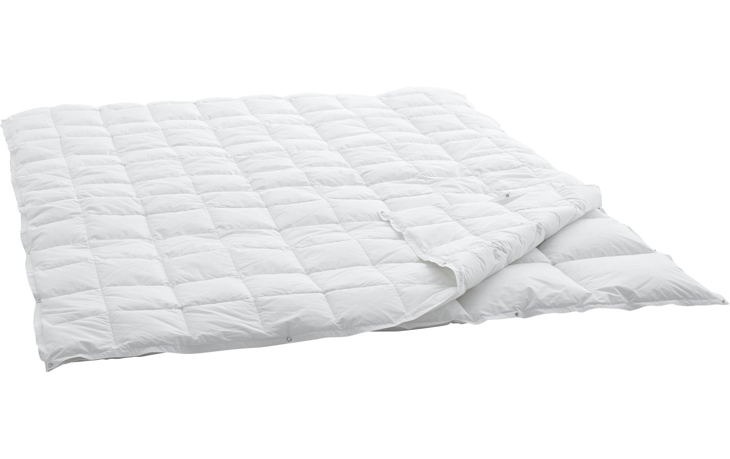 Duvet Caro Basic 90 160 x 210 cm<br>4-Saisons-Daunenduvet