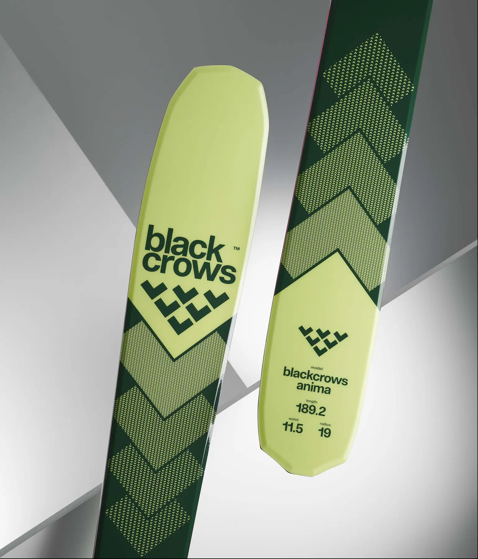 Black Crows Anima Freeride Ski | SkatePro