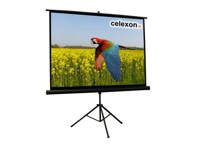 Celexon Economy tripod screen - Projektionsskærm med trebenet stativ - 66