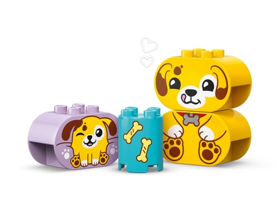 LEGO Vormenstoof: puppyhuis (10441)