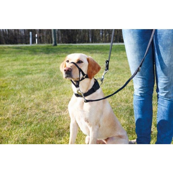 Trixie Açaime Treino Top Trainer L-XL 48-60cm / 37cm - 13005