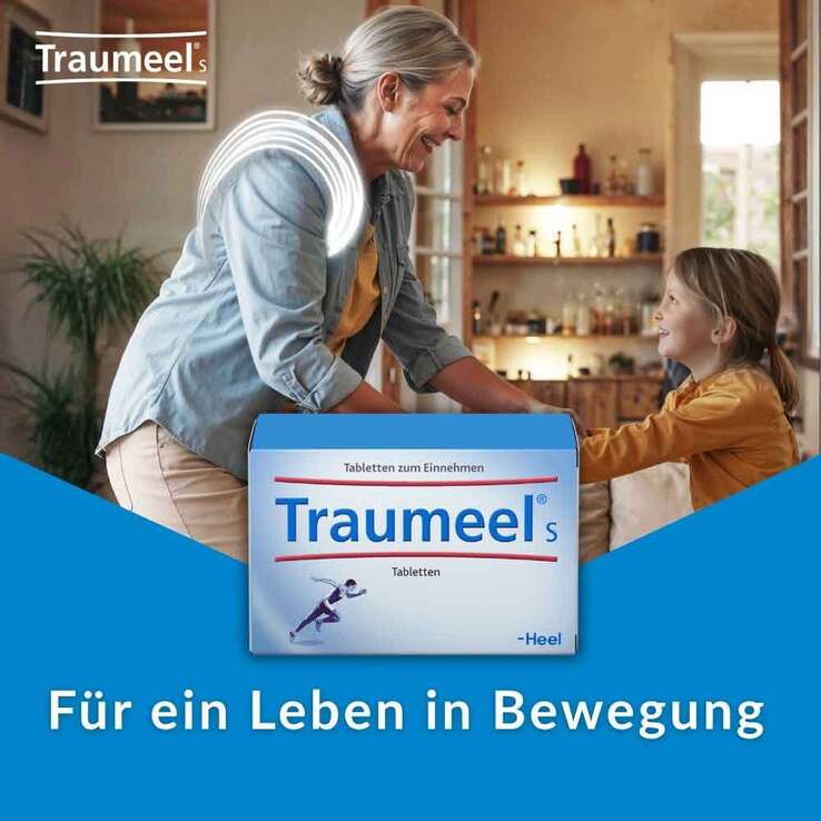 Traumeel S Tabletten, 2x250 St