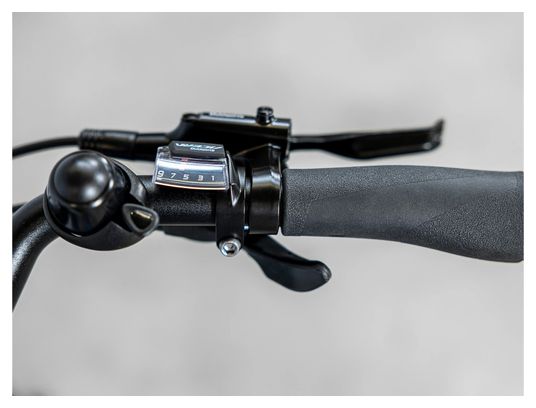 Vélo de Ville Électrique Trek Verve  2 Lowstep Shimano Acera/Altus 9V 500 Wh Bleu Alpine