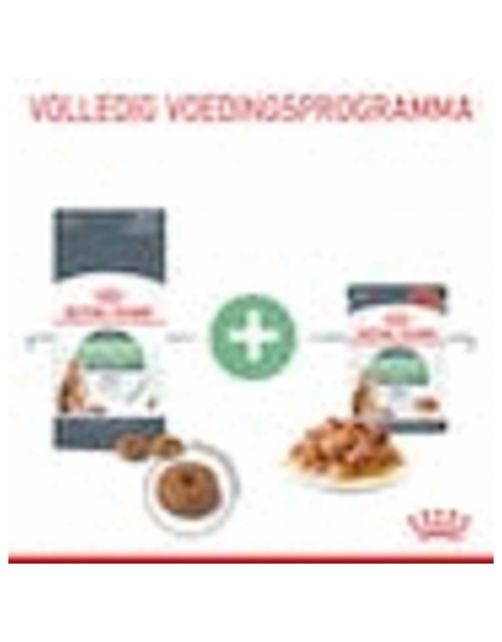 Royal Canin Digestive Care - Kattenvoer