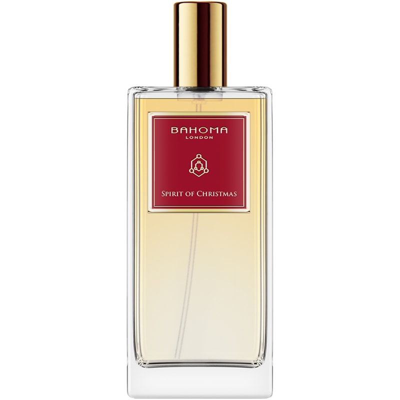 Parfum d'ambiance - Spirit of Chistmas - Cassis & ambre - 100 ml