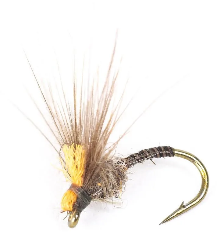Guideline Guideline Antonios Quill Midge Hivis