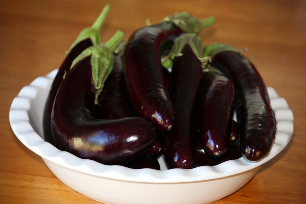 Sachet de graines d' aubergine longue pourpre - sachet de 2 grammes - petite entreprise française - made in france