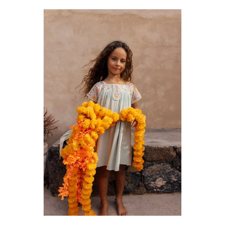 Louise Misha Robe Daya | Vert d'eau
