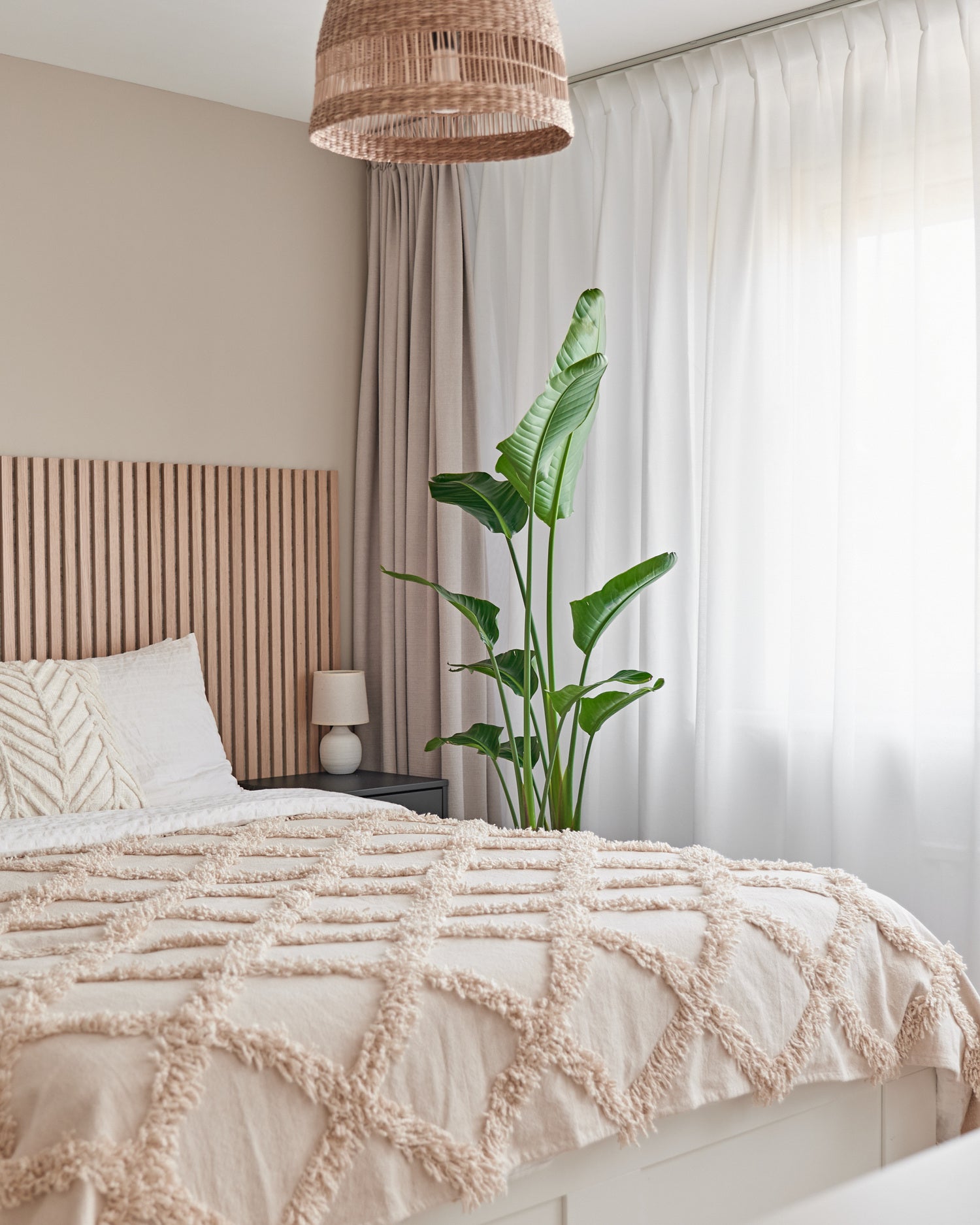 Beautanic Lifestyle Paradijsvogelplant (Strelitzia nicolai) D 30 H 160 cm