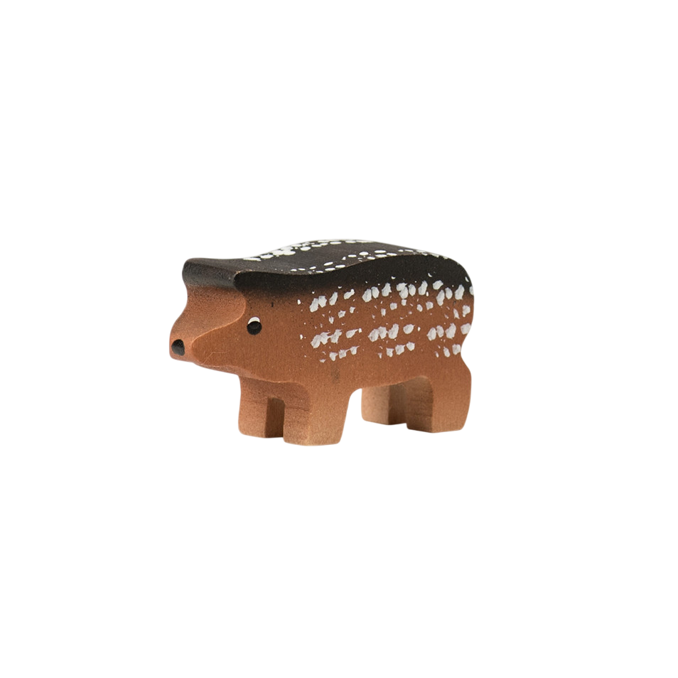 Trauffer Wollschwein Ferkel