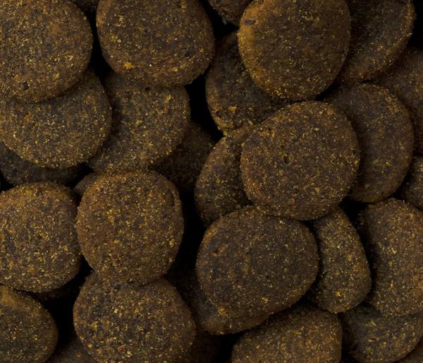 Carnilove True Fresh Trockenfutter für Hunde