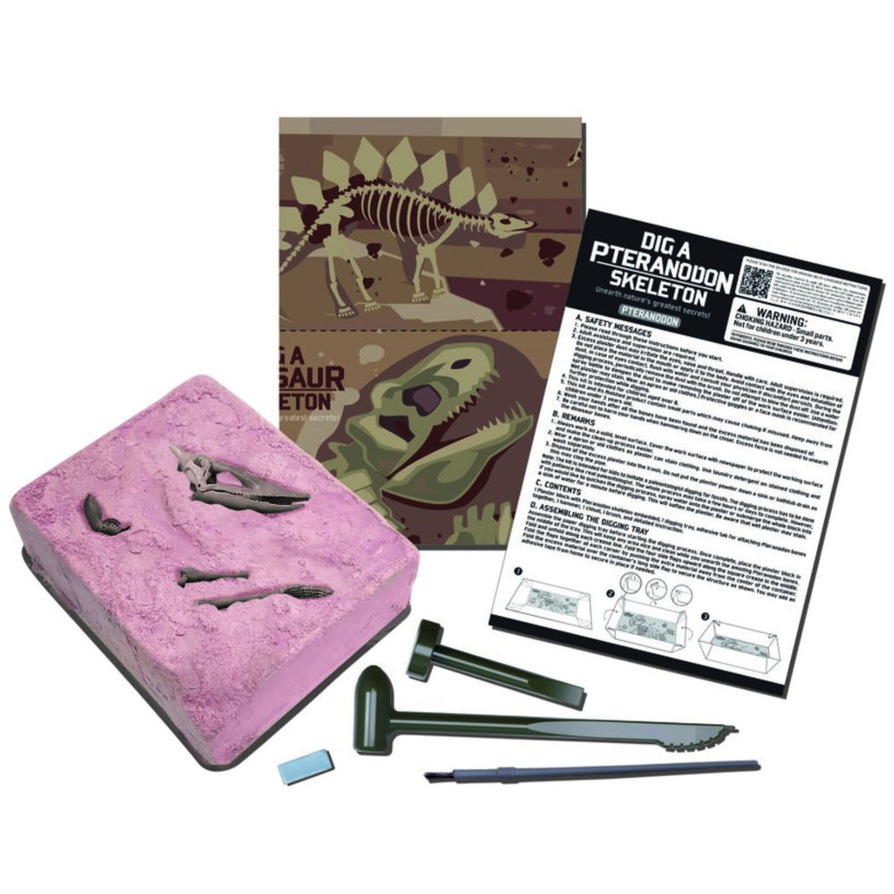 Køb 4M Udgrav Et Pteranodon-Skelet