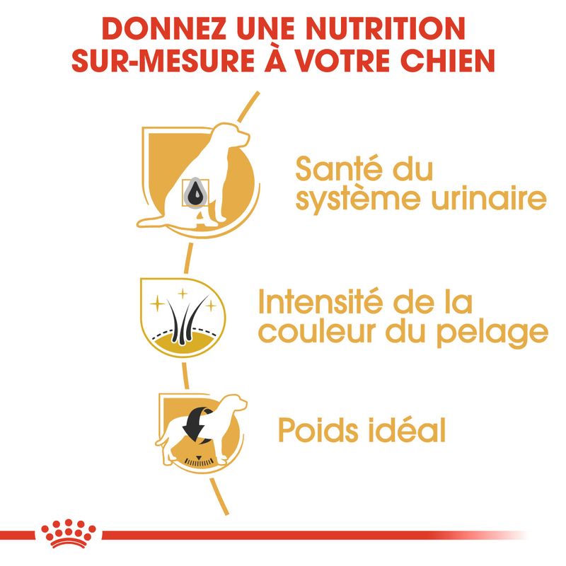 Royal Canin Schnauzer Nain Adult