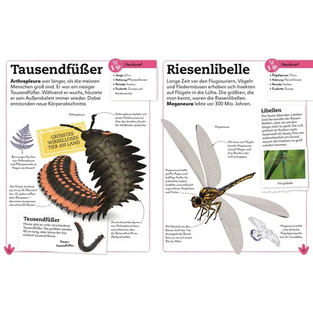 DK Verlag Dinosaurier - Entdecke die Tiere der Urzeit