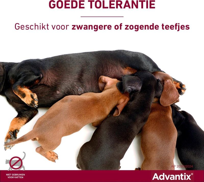 Bayer Advantix Vlooien & Teken Pipetten - Hond 40+ kg - 4 stuks
