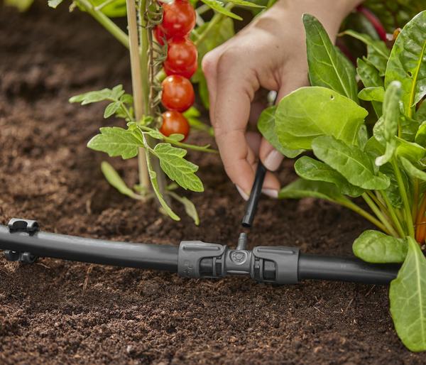 GARDENA Micro-Drip-System Reduzierer, 1/2