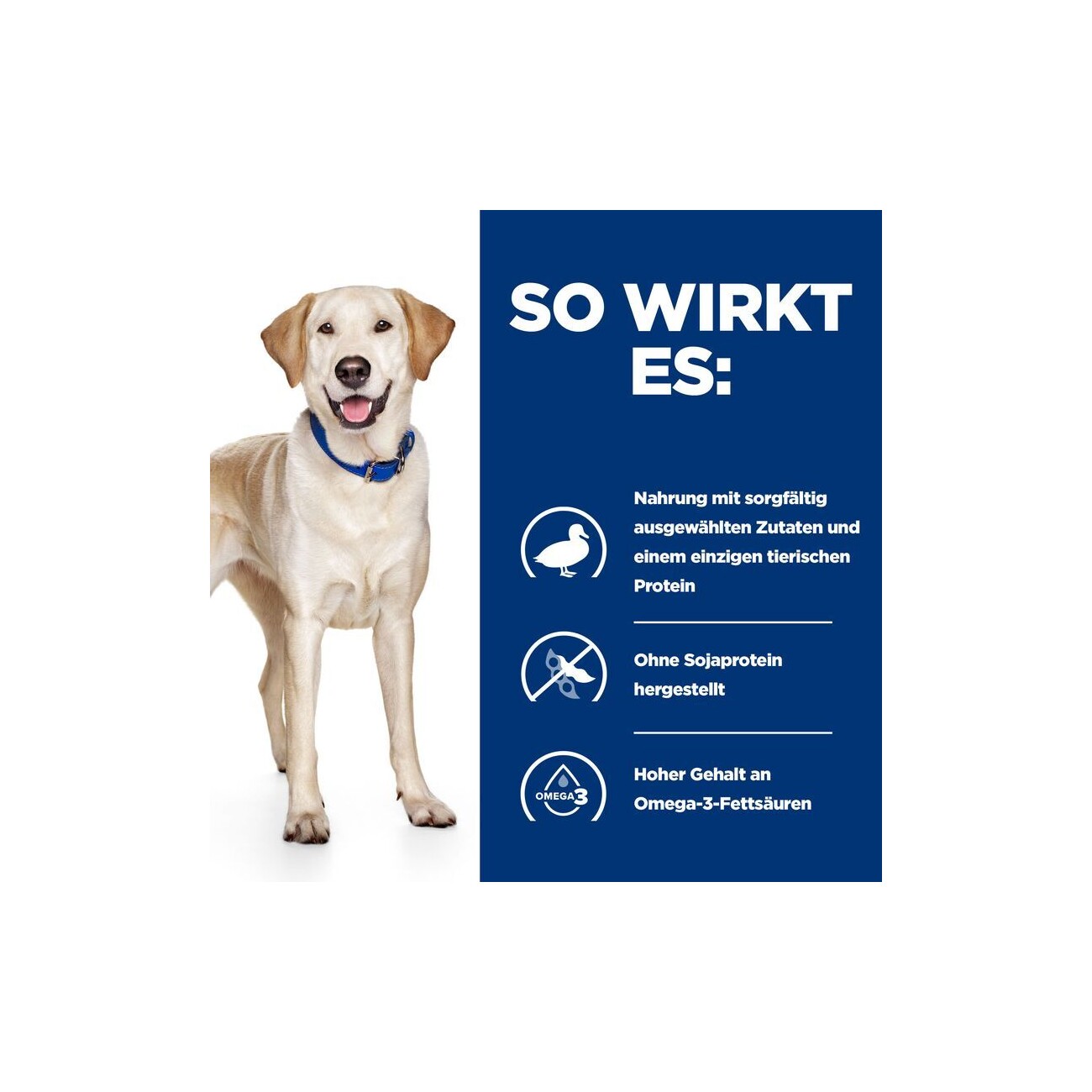 Hill's Prescription Diet d/d Futter bei Allergien, mit Ente und Reis 12 kg