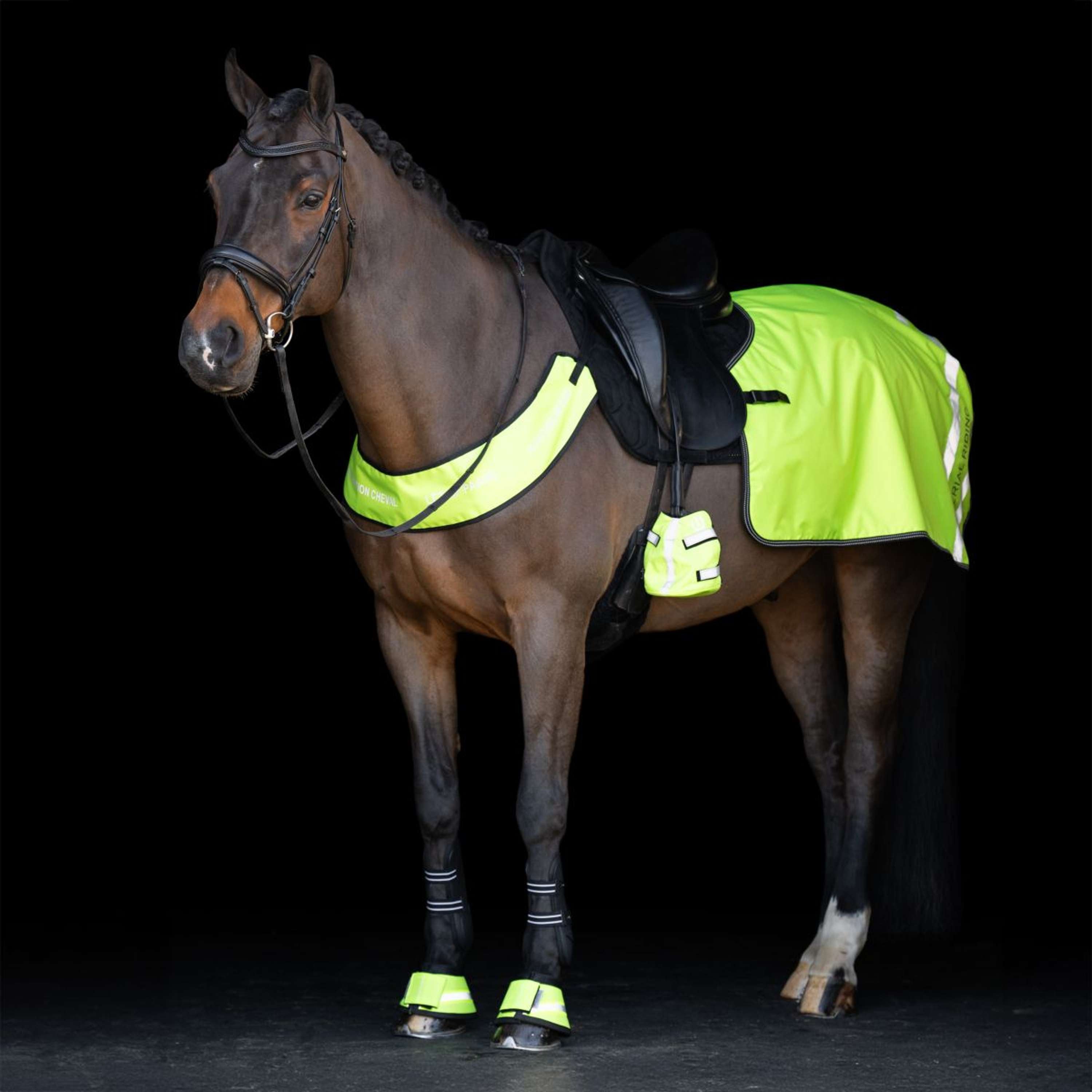 Imperial Riding Springschoenen IRHReflective Geel