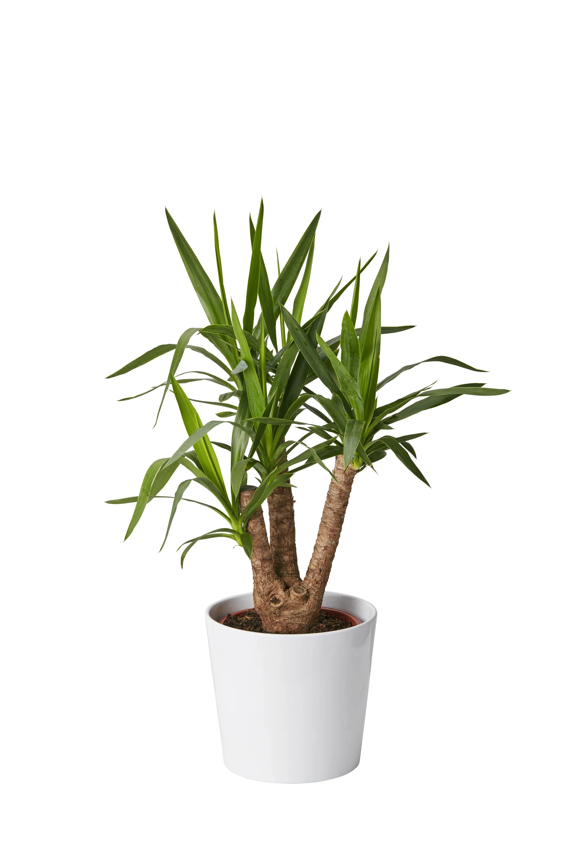 Plantagen Potte Harmoni Ø29 cm