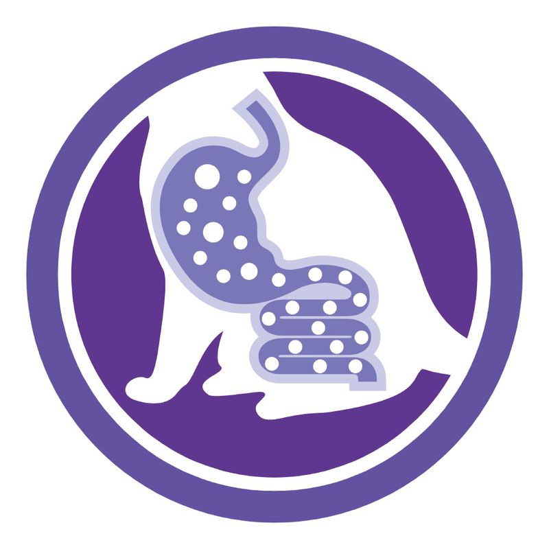 PURINA ONE Spécial Chat Sensible à la dinde à prix discount sur bitiba.fr