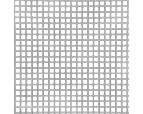 Geperforeerde vierkante staalplaat 250x500x1 mm, 8 mm