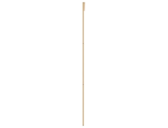 VIDAXL - Porte verre Porte coulissante doré 90x205 cm verre esg dépoli et alumini...