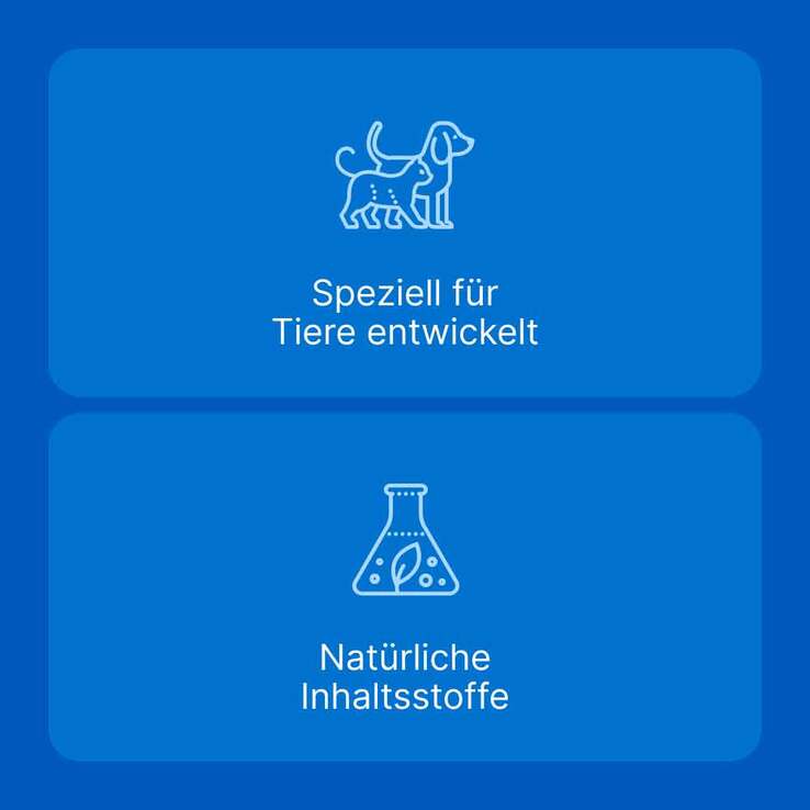 Traumeel LT ad us.vet.Tabletten, 100 St