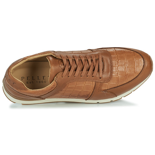 Pellet - MAXIM - VEAU MARRON