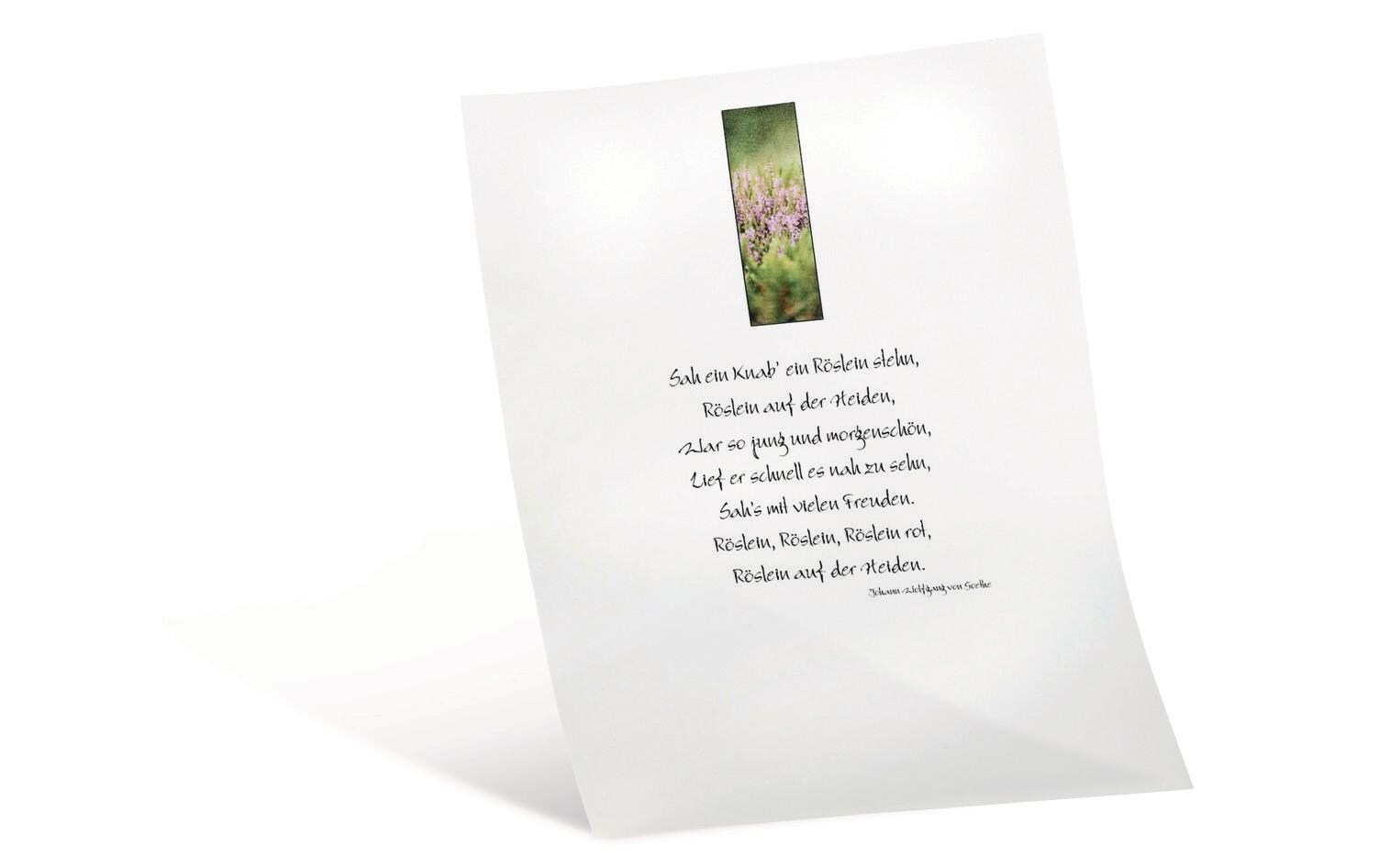 Transparentpapier A4, 115 g/m², 10 Stück, WeissTransparentpapier extra stark