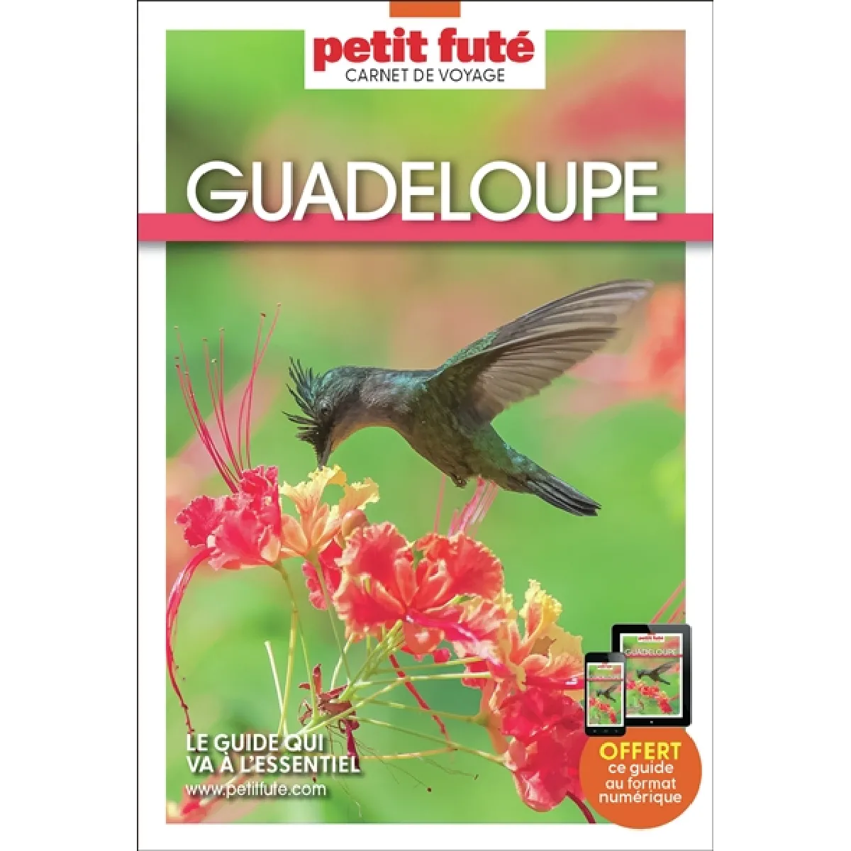 Guadeloupe · Occasion